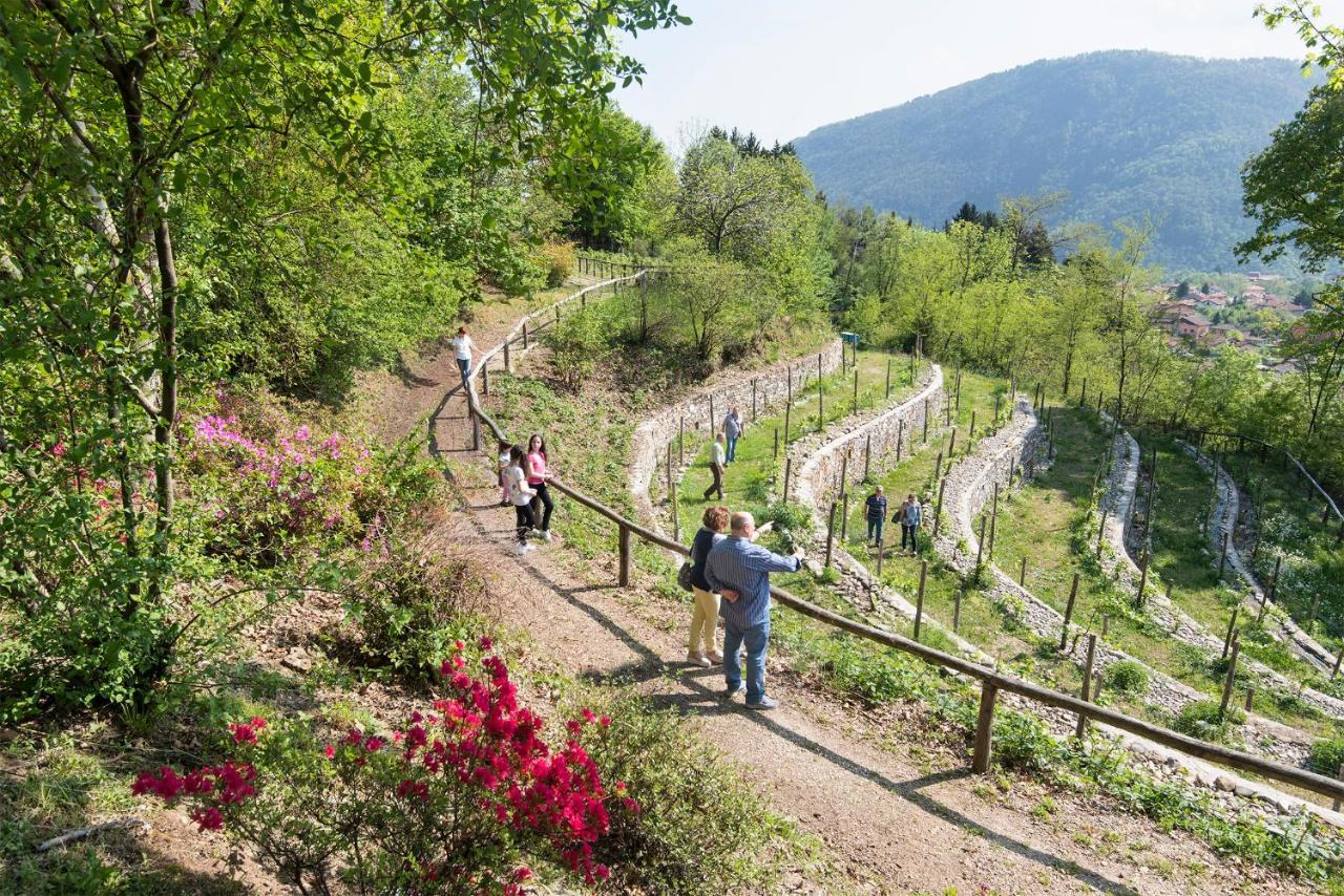 Agriturismo Al Motto Cambiasca エクステリア 写真